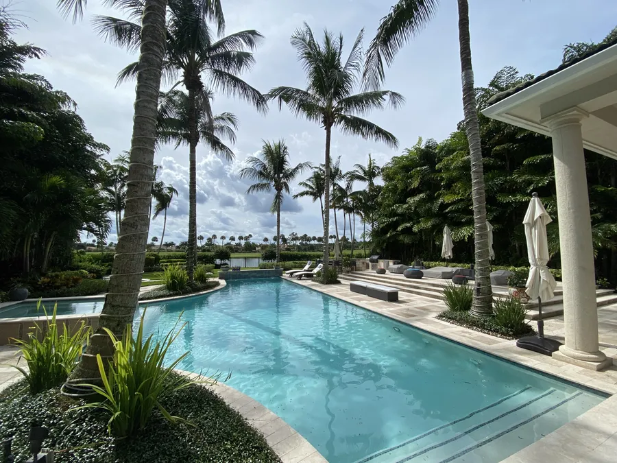 Client property with an infinity pool surrounded by palms