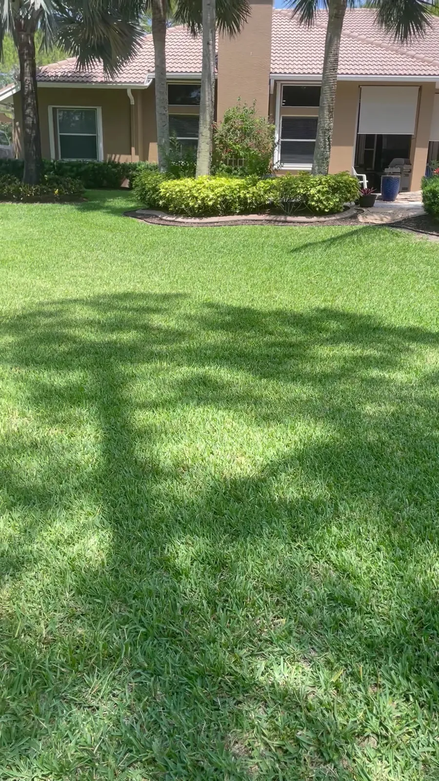 Green lawn with tree shade in front of a home