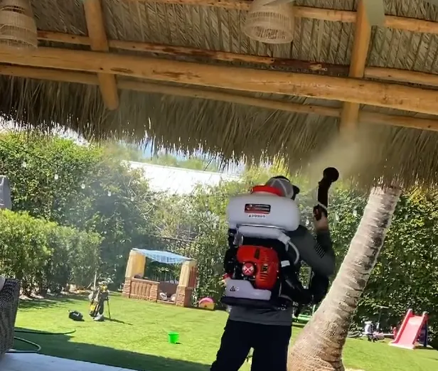Technician fogging for mosquitoes under a covered patio