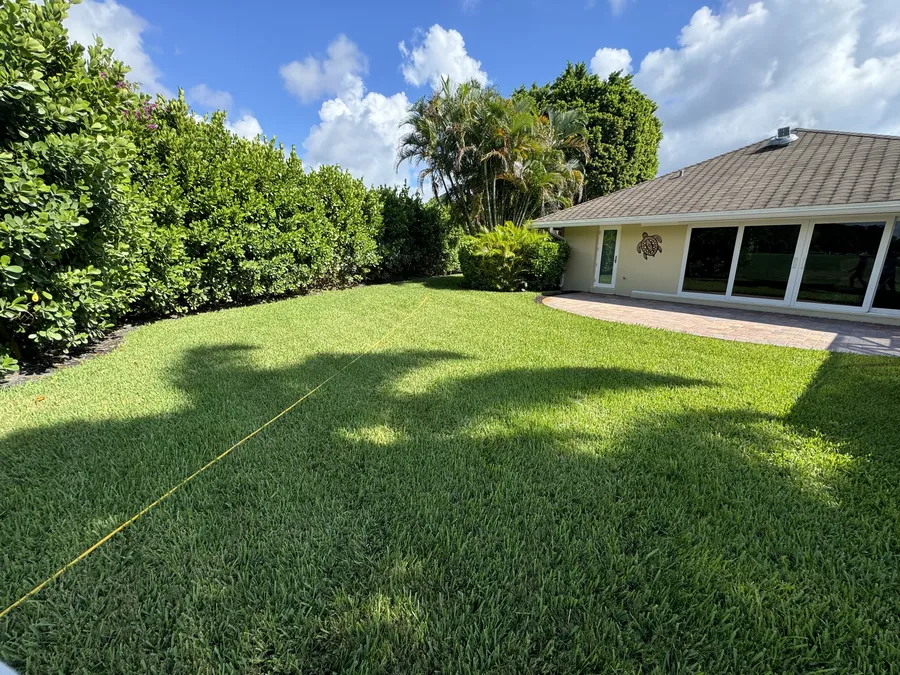 Healthy manicured backyard lawn